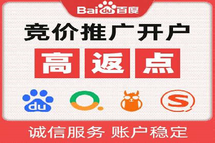 实战派经验分享：百度竞价代理成功案例揭秘